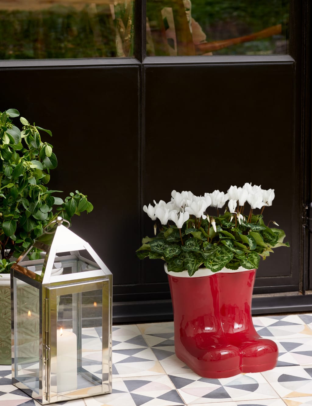 Santa Boots Flowering Cyclamen Planter 1 of 4