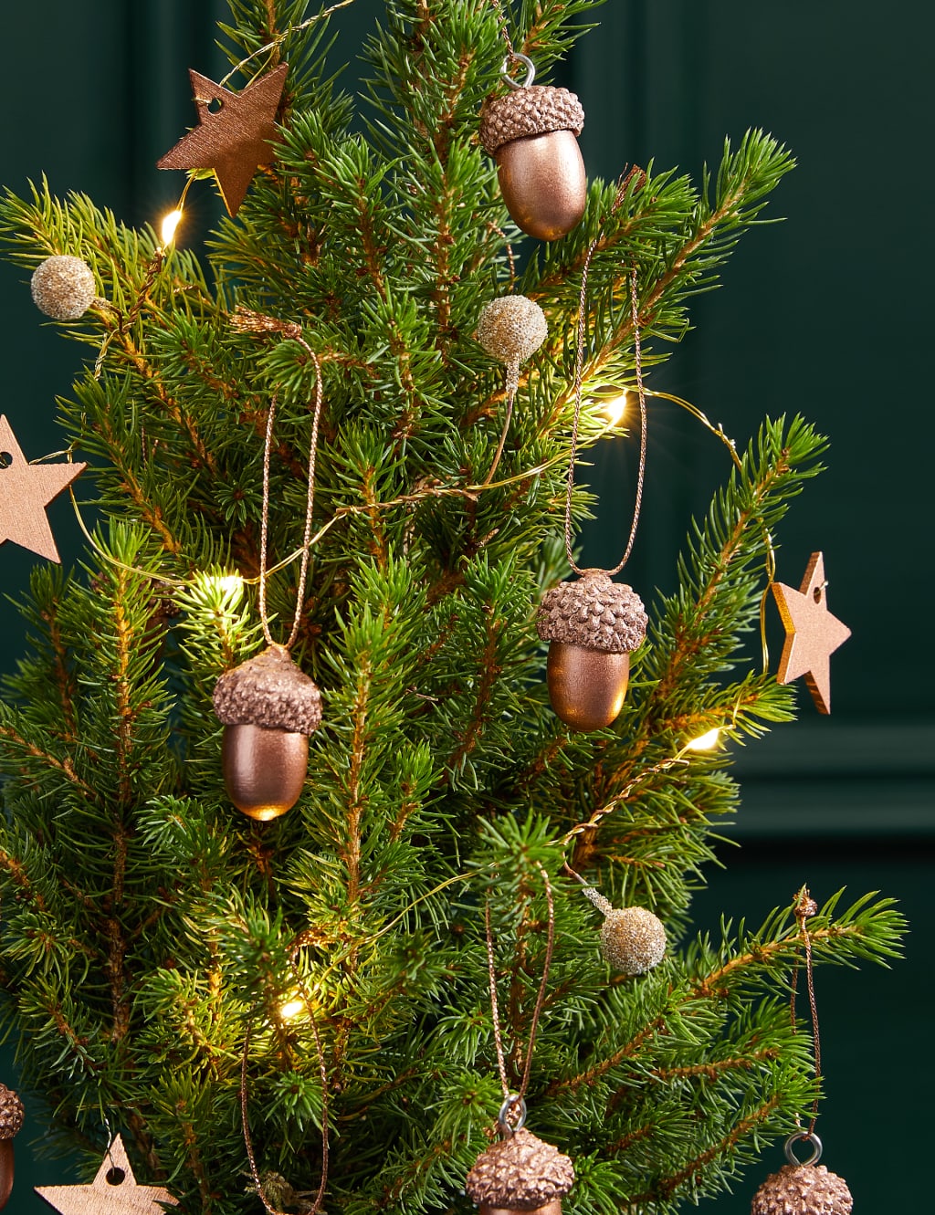 Acorn Letterbox Tree 2 of 3