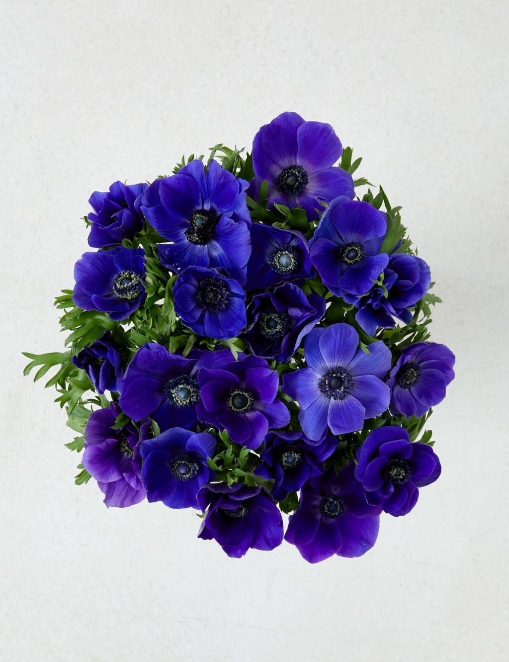 Blue Anemone Abundance Flowers Bouquet (Delivery from 5th December 2022) 2 of 4