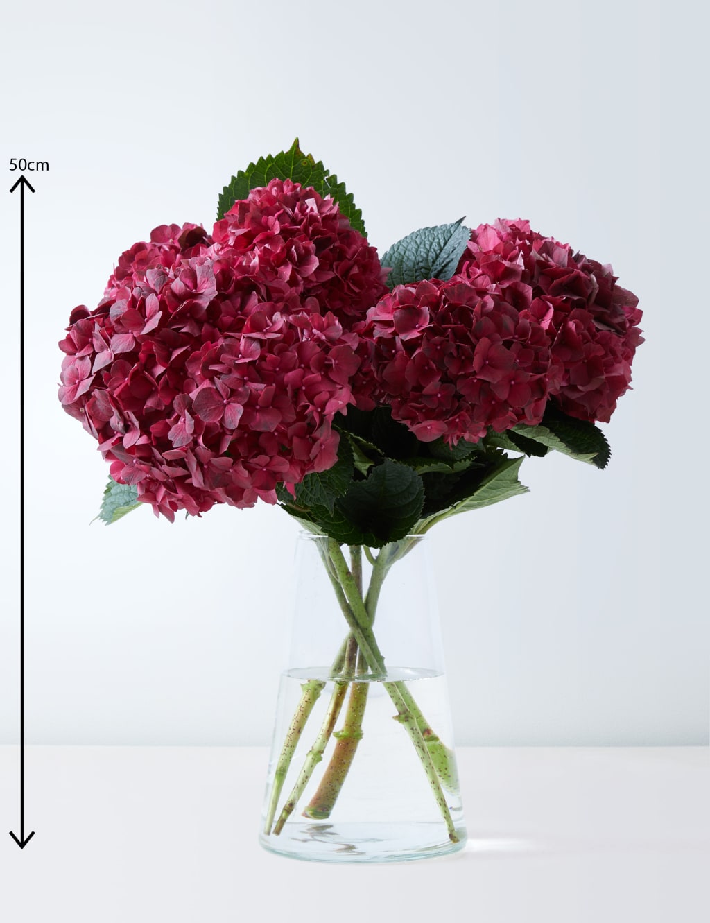 Bountiful Abundance Hydrangea Bouquet 3 of 4
