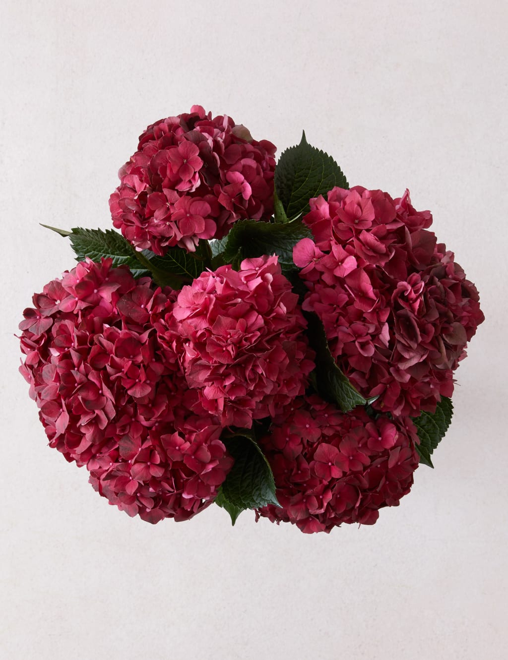 Bountiful Abundance Hydrangea Bouquet 2 of 4