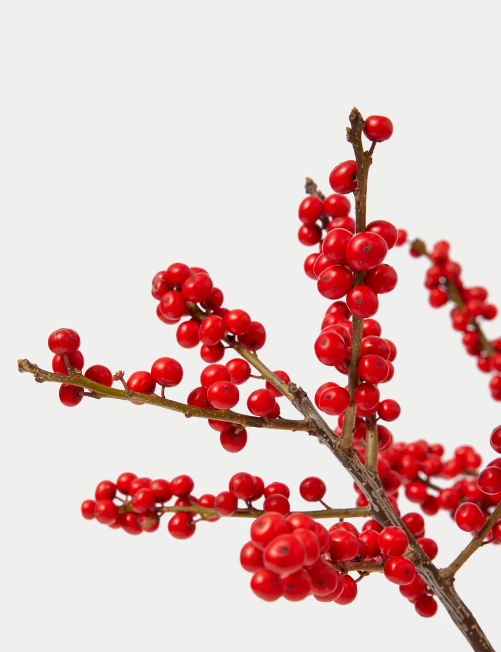 Ilex Berry Abundance Bouquet 4 of 5
