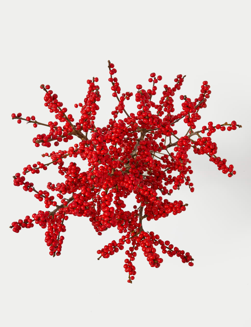 Ilex Berry Abundance Bouquet 2 of 5