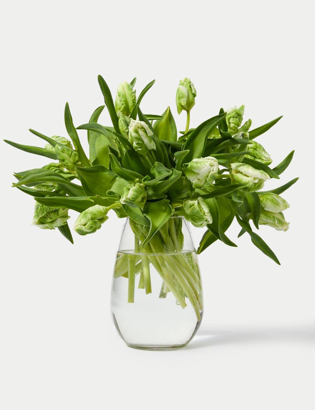 White Parrot Tulip Abundance Bouquet 3 of 5