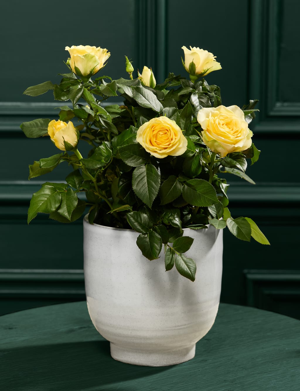 Rose in Ceramic 1 of 3