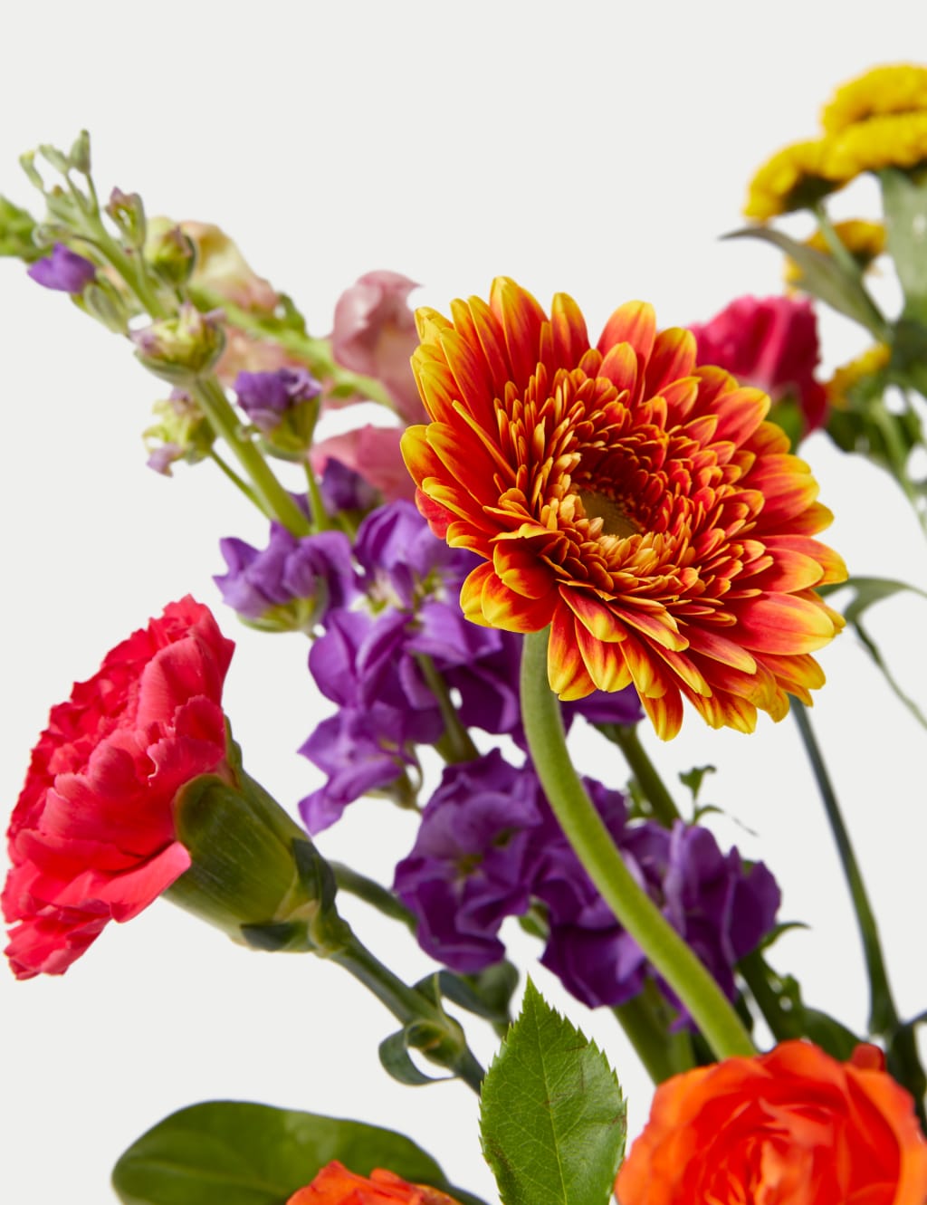 Gerbera, Carnation & Rose Bright Bouquet 4 of 5