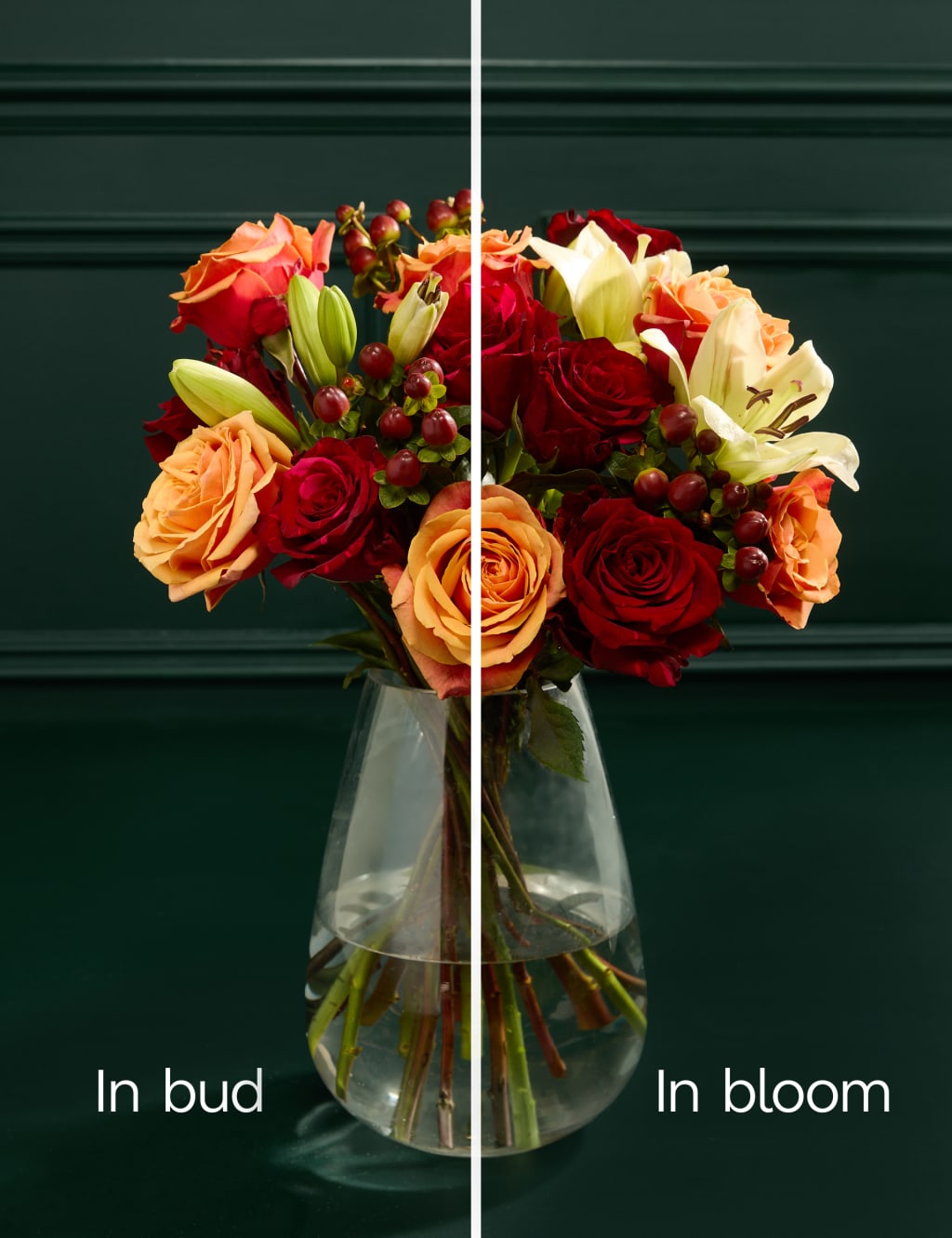 The Scorpio Bouquet (October 24 – November 22) 4 of 4
