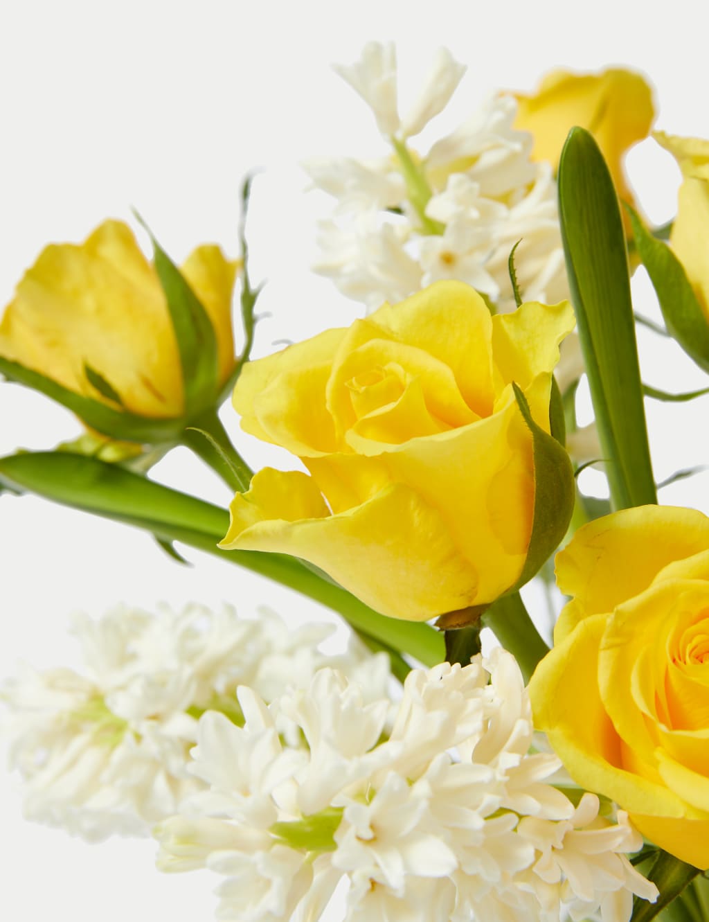 Easter Rose, Tulip & Hyacinth Bouquet 4 of 4