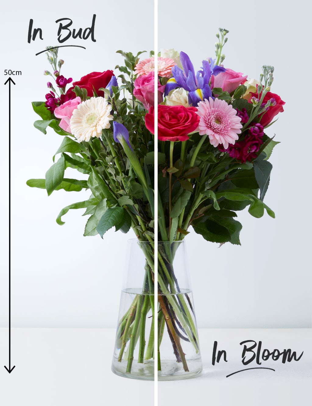 Seasonal Spring Joy February Bouquet 3 of 4