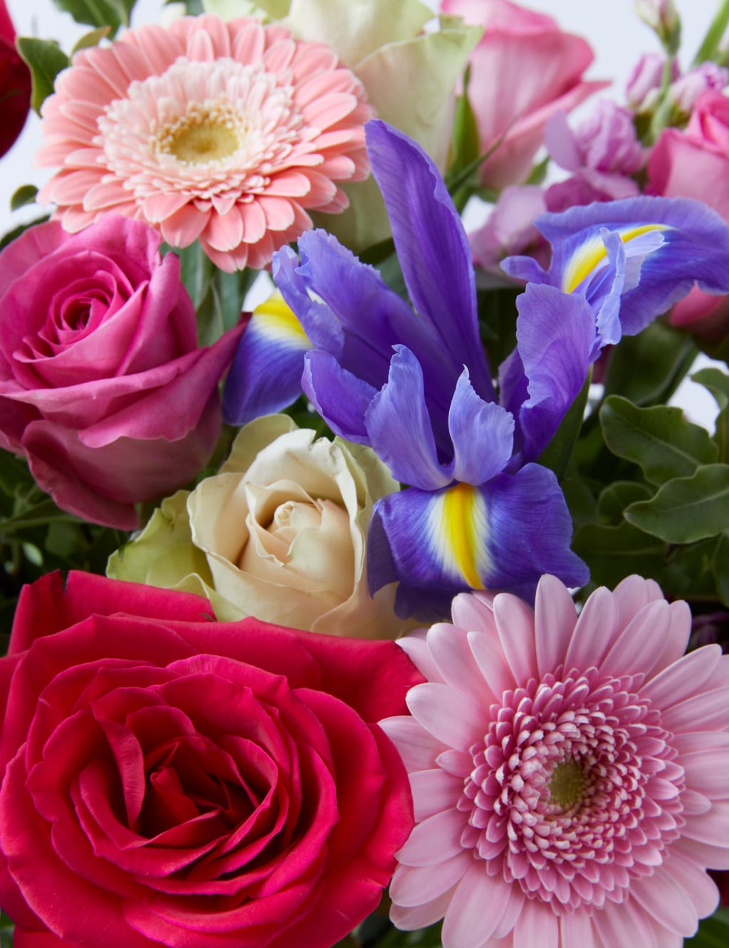Seasonal Spring Joy February Bouquet 4 of 4