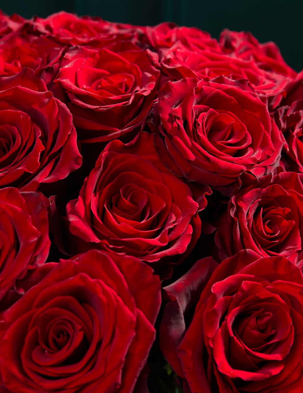 Exquisite Red Rose Bouquet 4 of 7