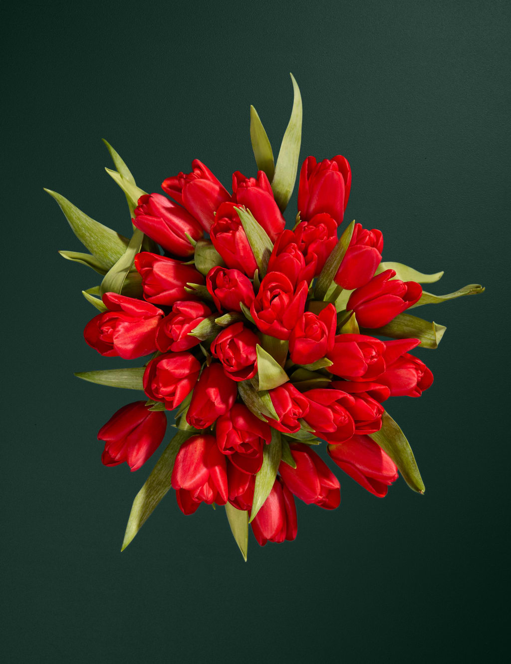 British Red Tulip Abundance Bouquet 2 of 5