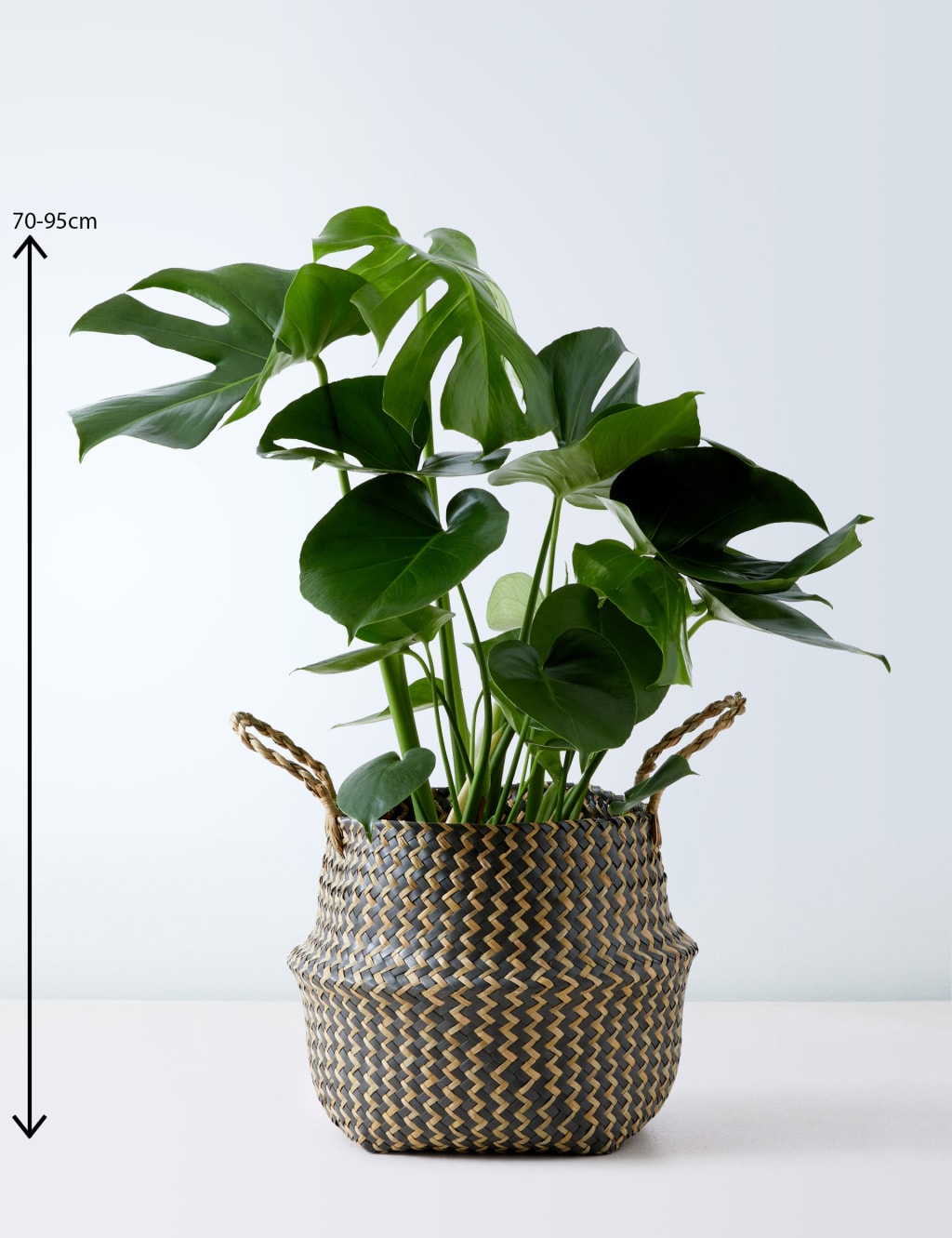 Extra Large Monstera Basket 3 of 4