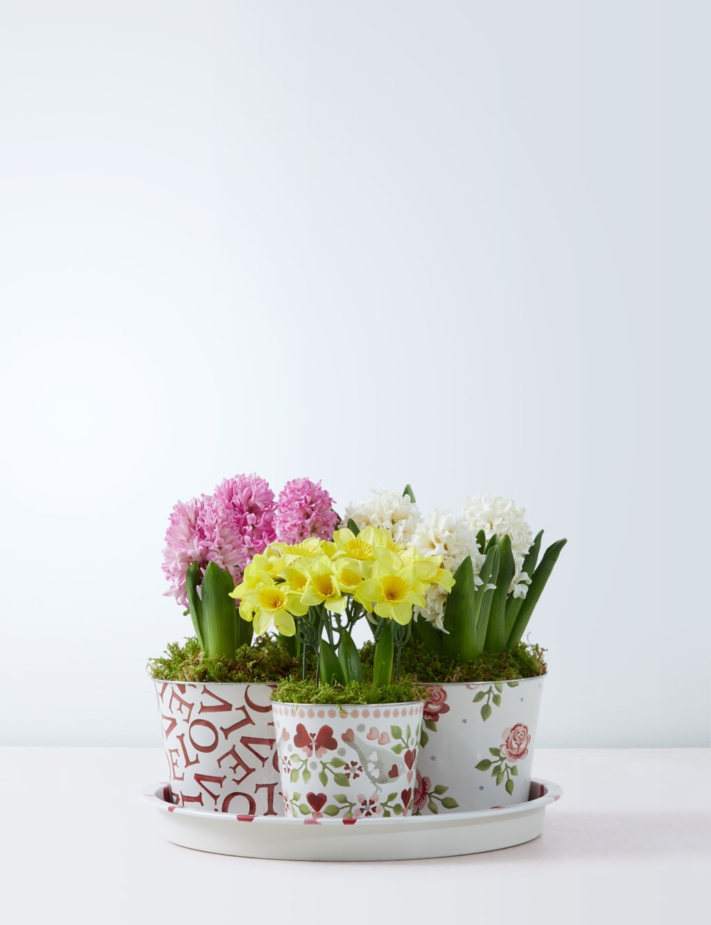 Emma Bridgewater Bulb Collection 2 of 4