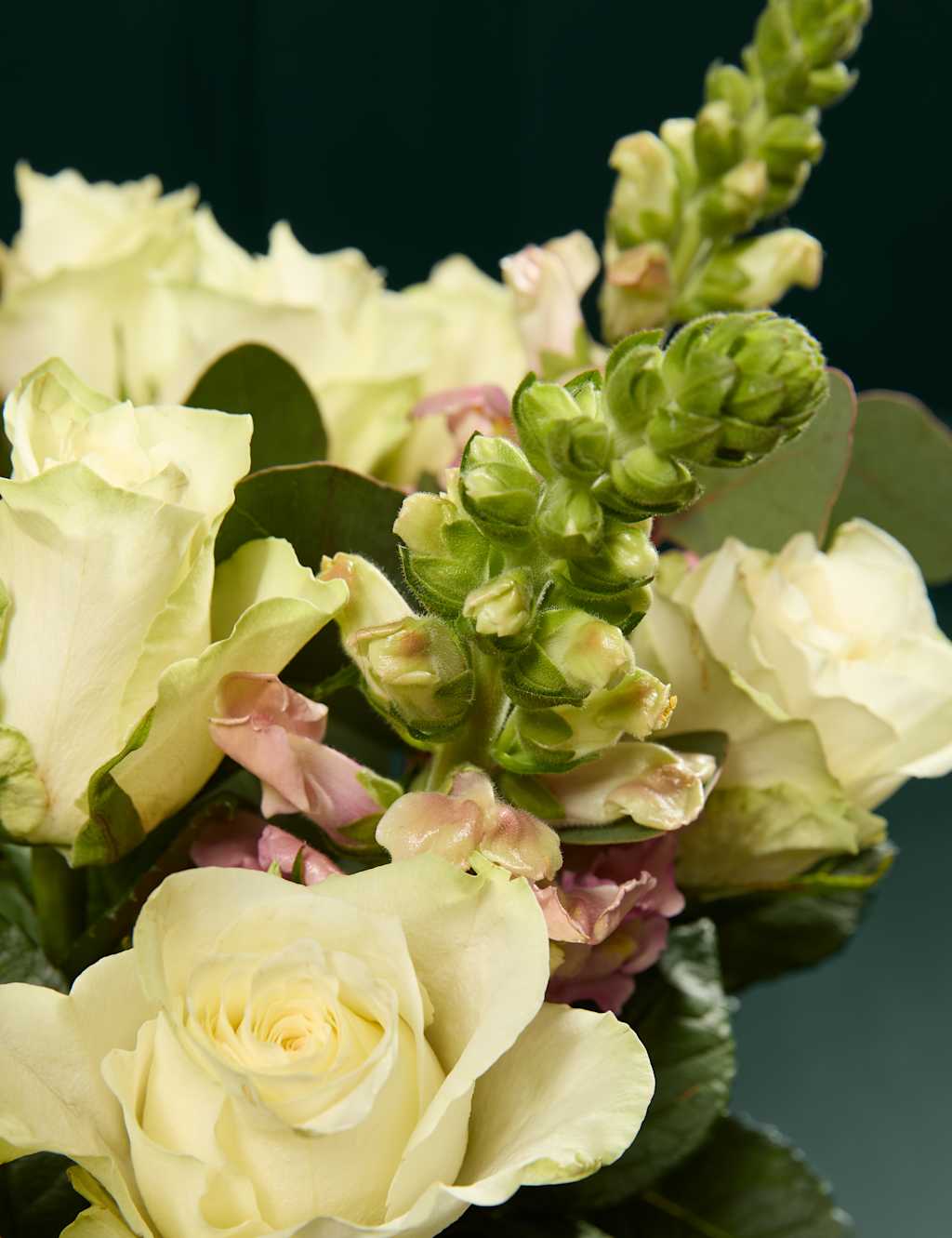 White Rose, Antirrhinum & Eucalyptus Bouquet with Prosecco 3 of 7