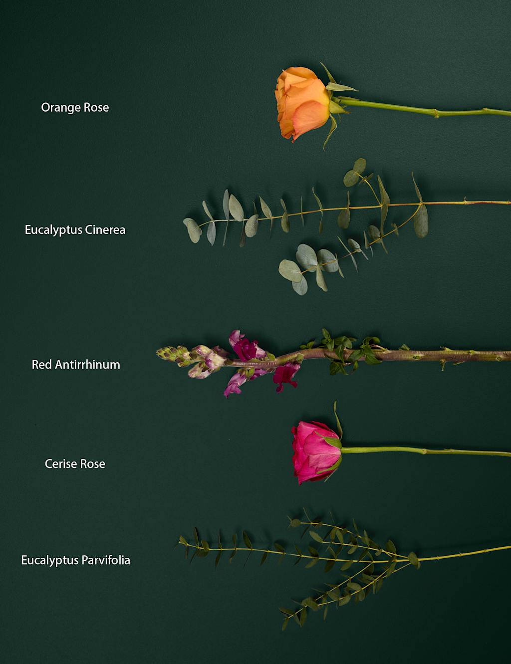 Bright Rose & Antirrhinum Bouquet 5 of 7