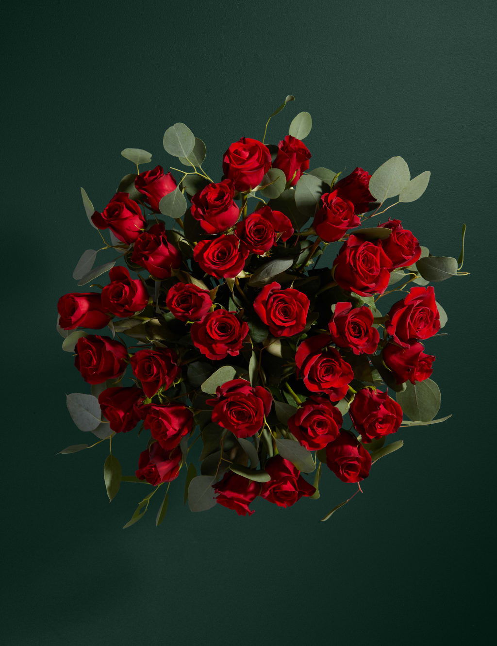 Red Freedom® Rose & Eucalyptus Bouquet 2 of 7