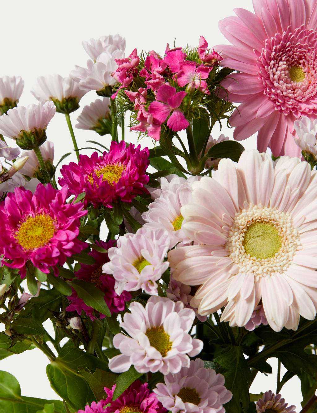 Aster & Germini Bouquet with Vintage Flower Print Tote Bag 5 of 6
