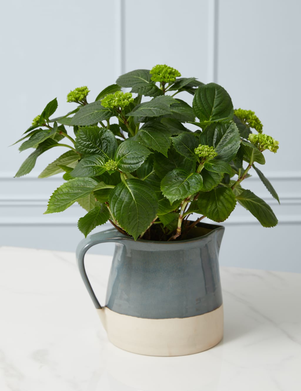 Mum's Hydrangea Jug 1 of 3