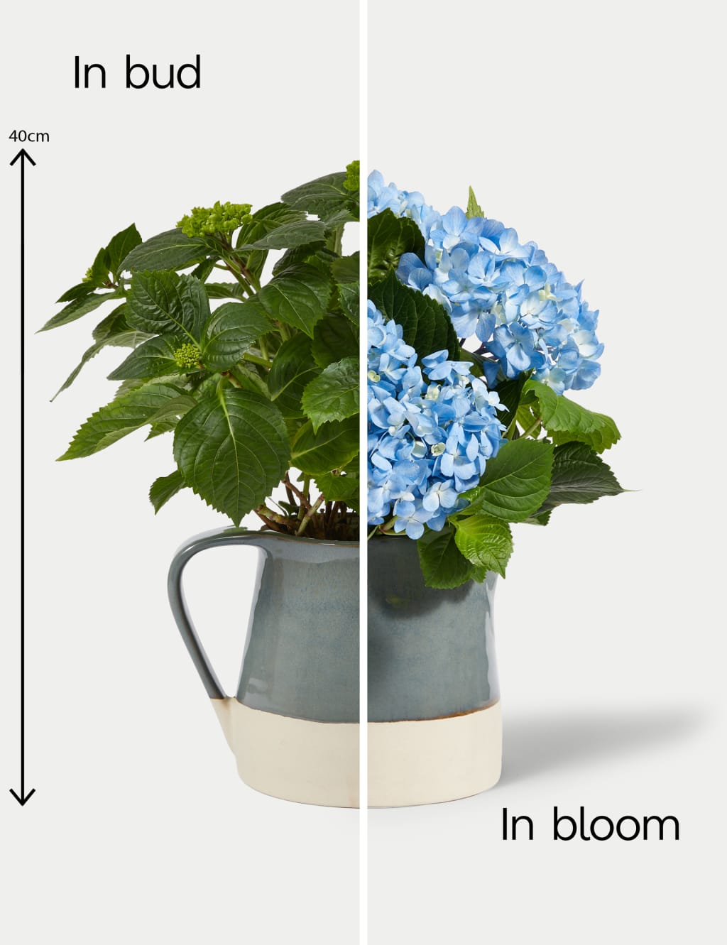 Mum's Hydrangea Jug 2 of 3