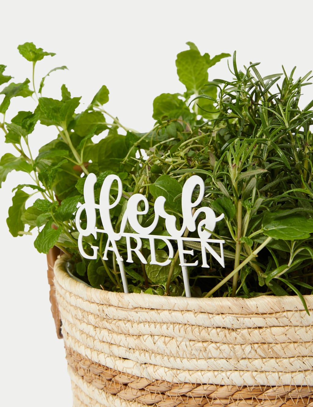 Herb Basket 3 of 4
