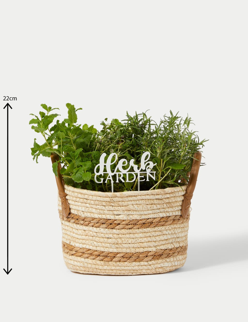 Herb Basket 4 of 4