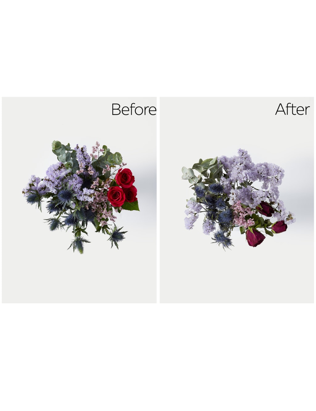 Dry Your Own Flowers Bouquet 4 of 7
