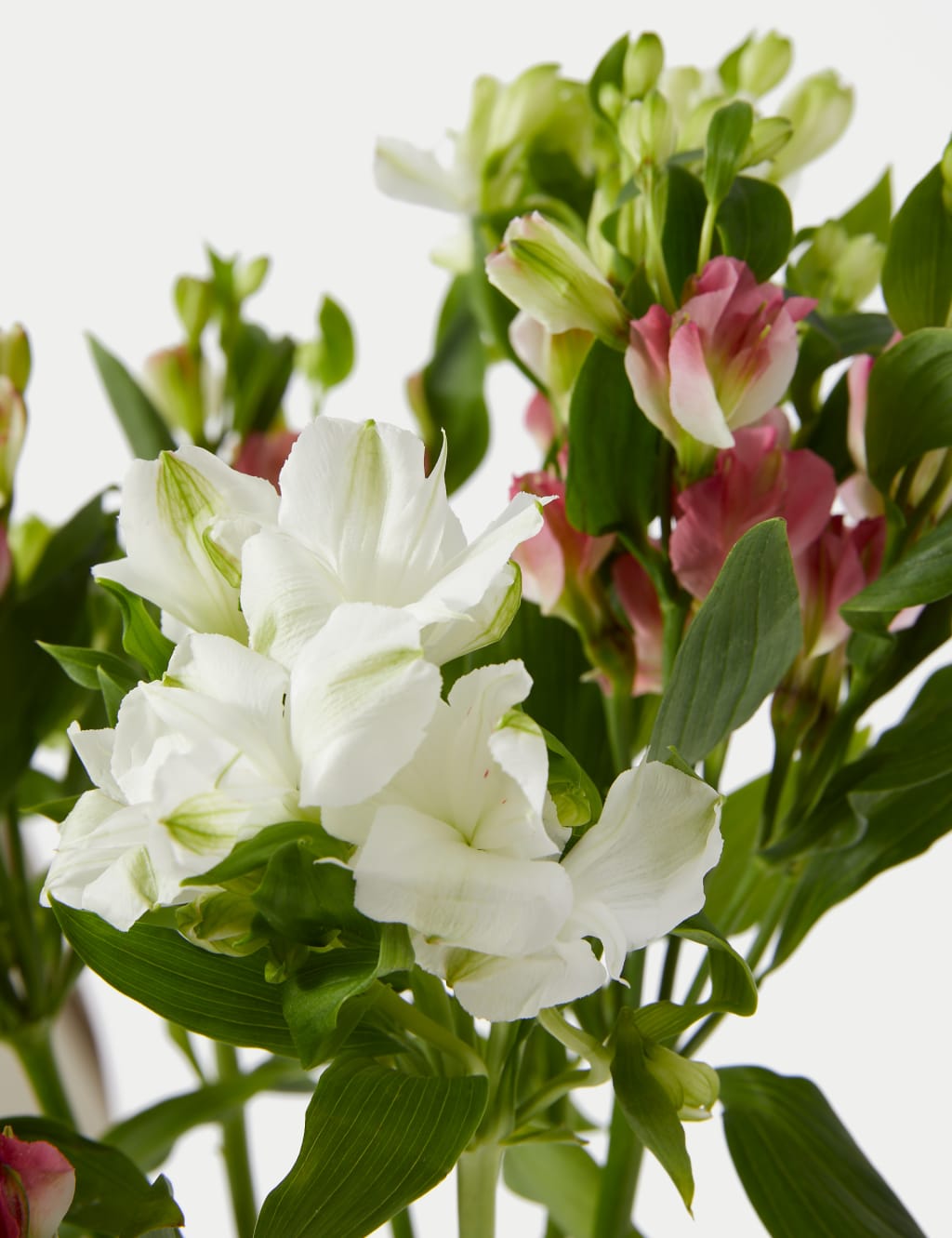 Charmelia Alstroemeria Bouquet 4 of 5