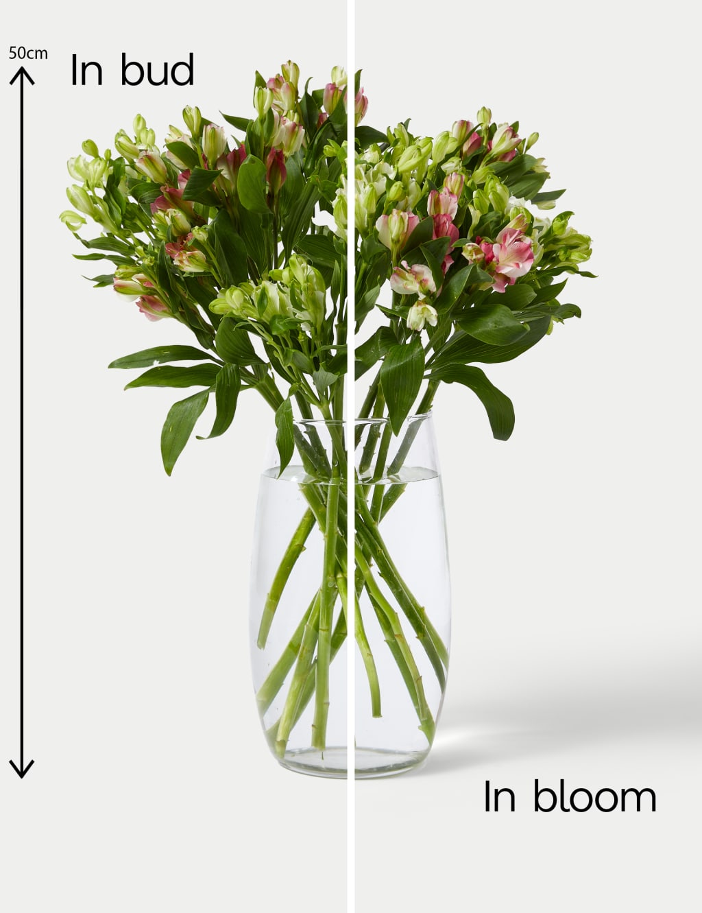 Charmelia Alstroemeria Bouquet 5 of 5