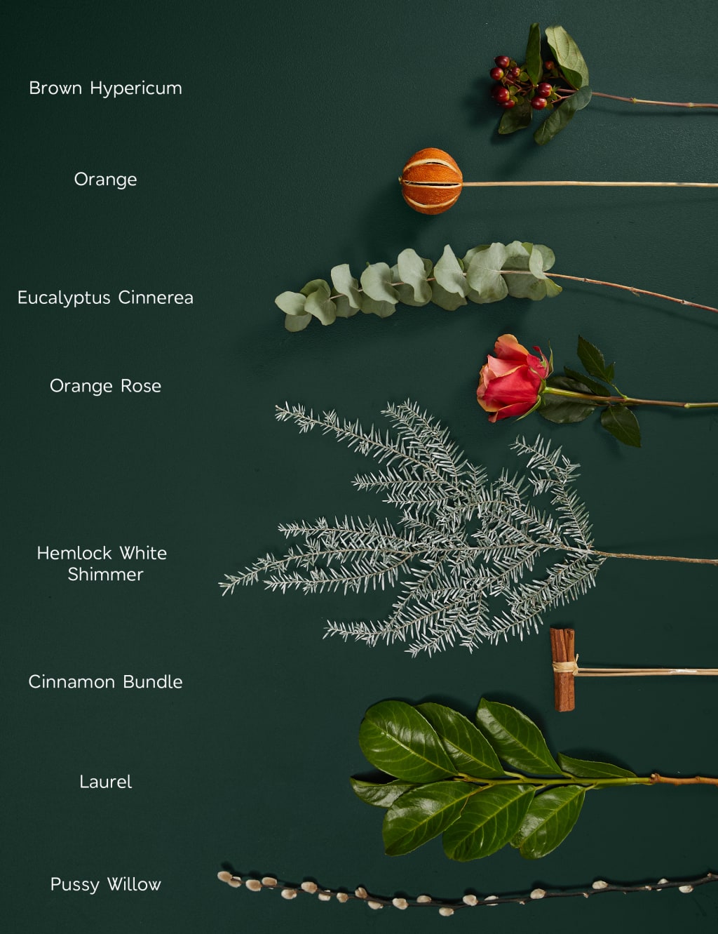 Orange Rose & Festive Foliage 4 of 5