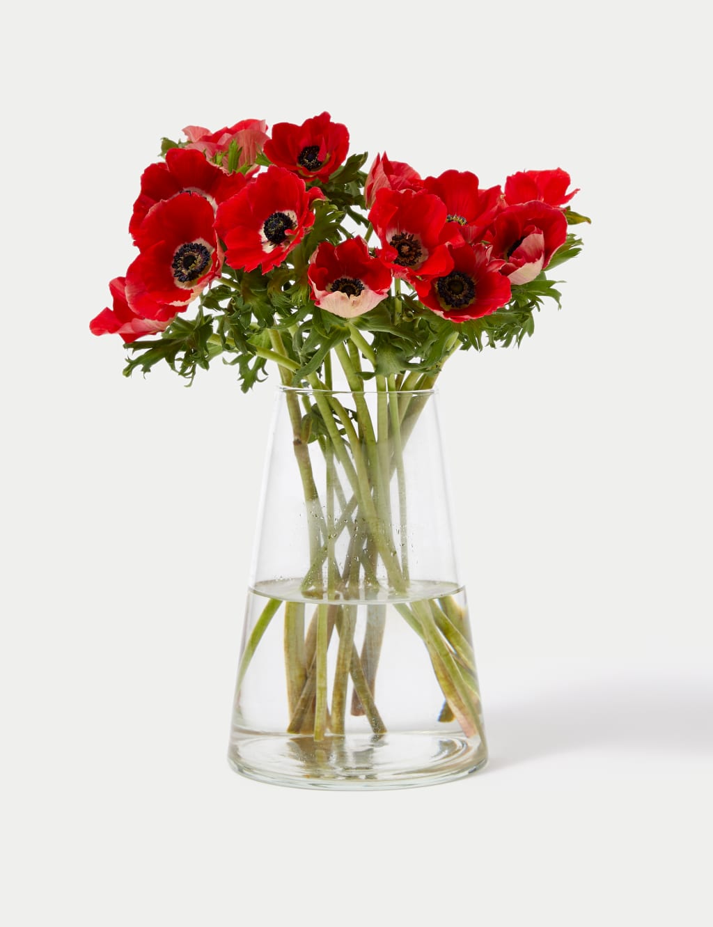 Festive Anemone Abundance Bouquet 3 of 5