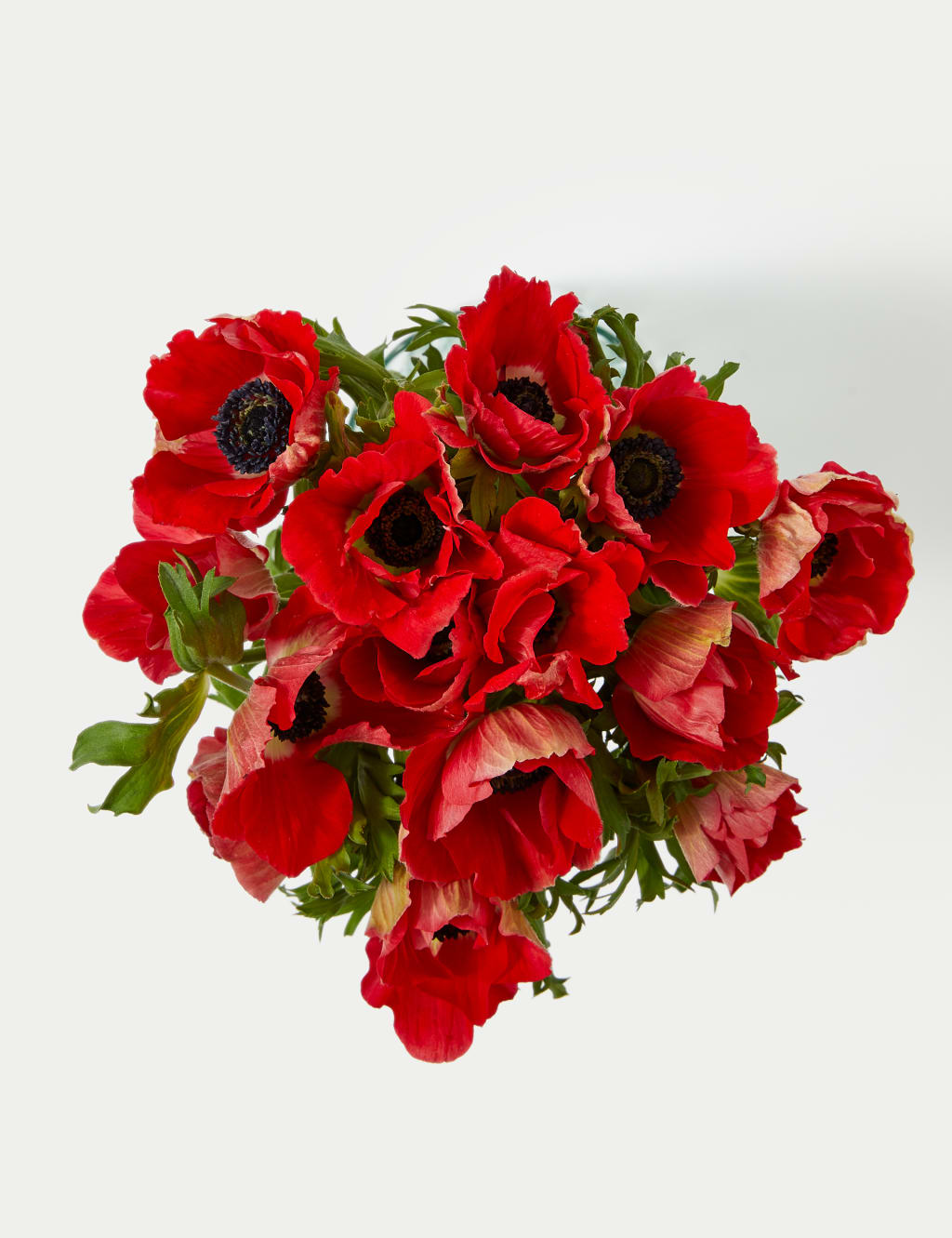 Festive Anemone Abundance Bouquet 2 of 5