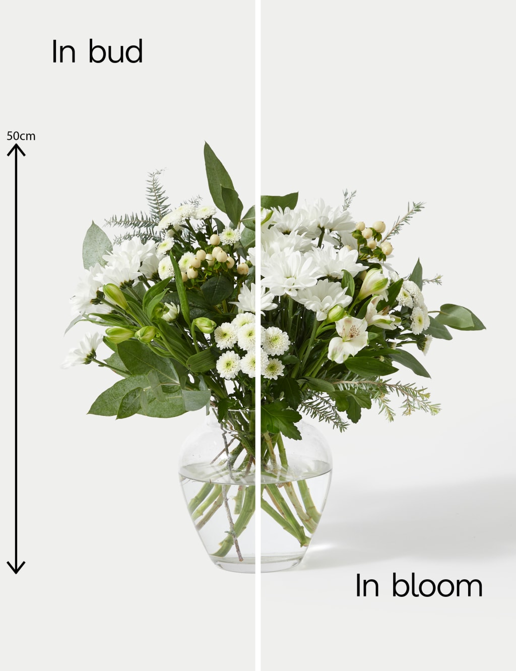 Festive White Chrysanthemum & Alstroemeria Bouquet 5 of 5