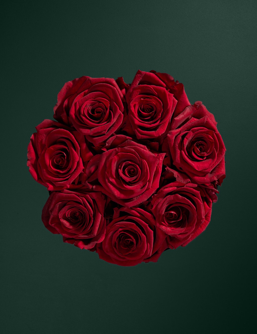 Everlasting Rose Hatbox with Valentine's Truffles 2 of 7