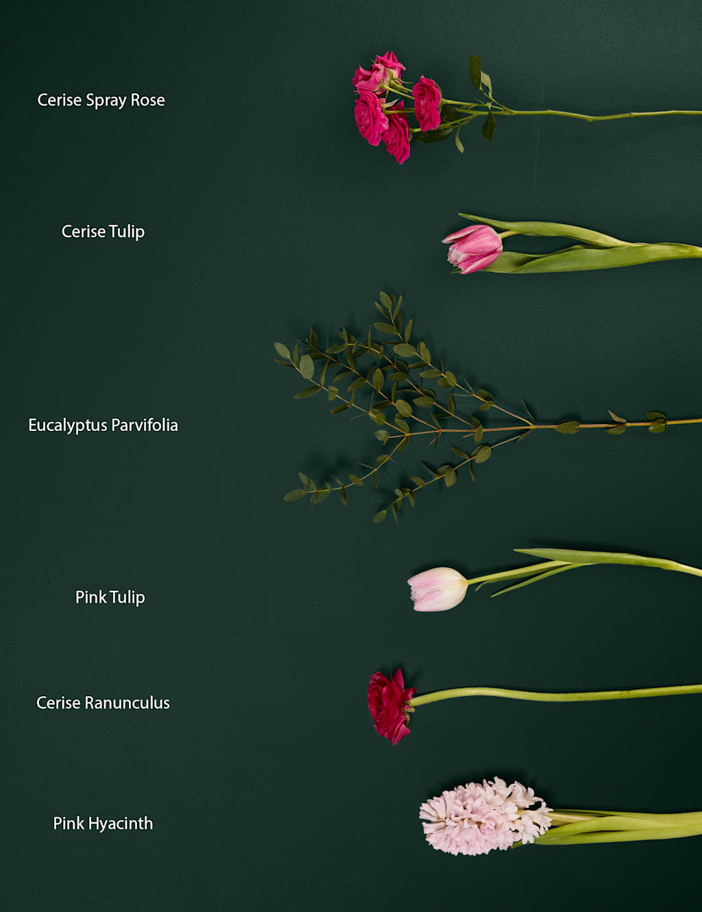 Mother's Day Tulip, Ranunculus & Hyacinth Bouquet with Rosé Prosecco 5 of 8