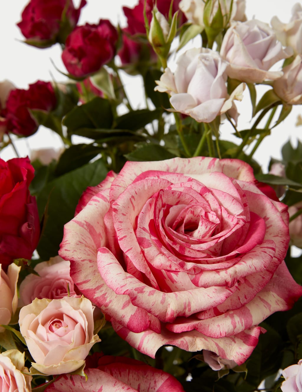 Mixed Rose Bouquet 5 of 6