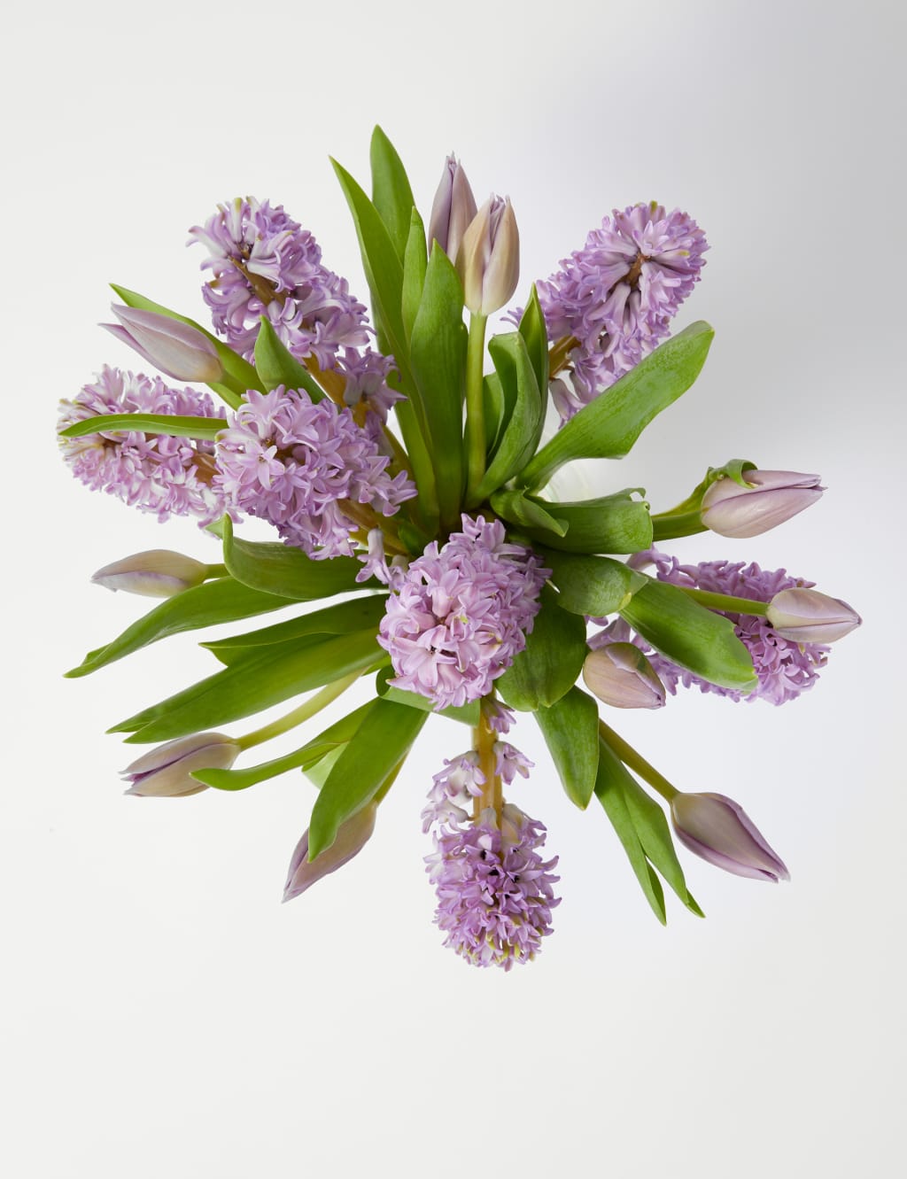 Hyacinth & Tulip Bouquet 2 of 5