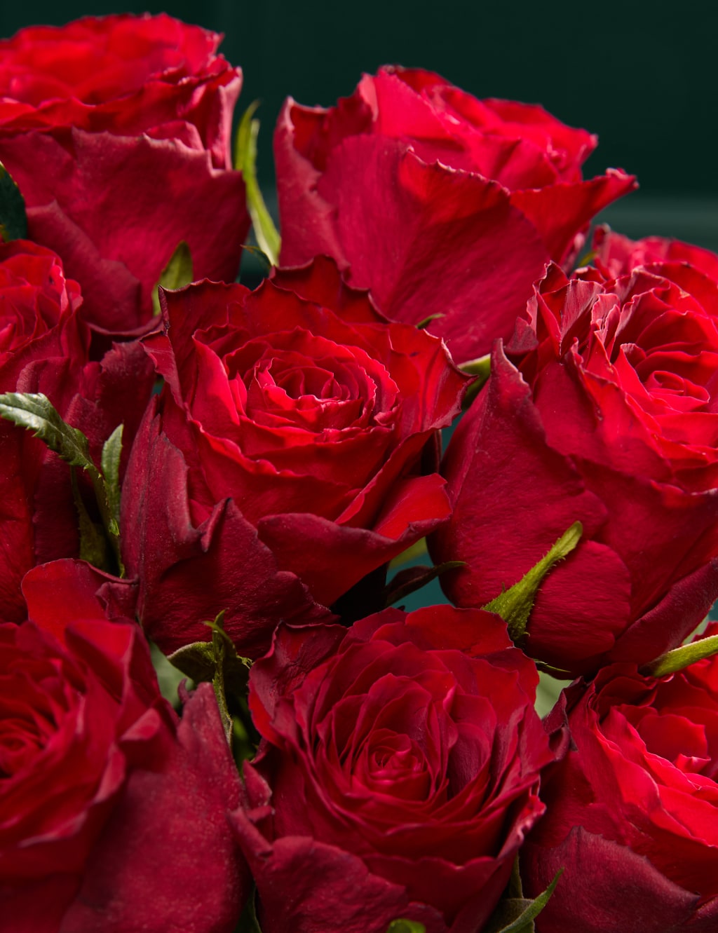 Dozen Red Roses Bouquet with Prosecco & Chocolates 3 of 7