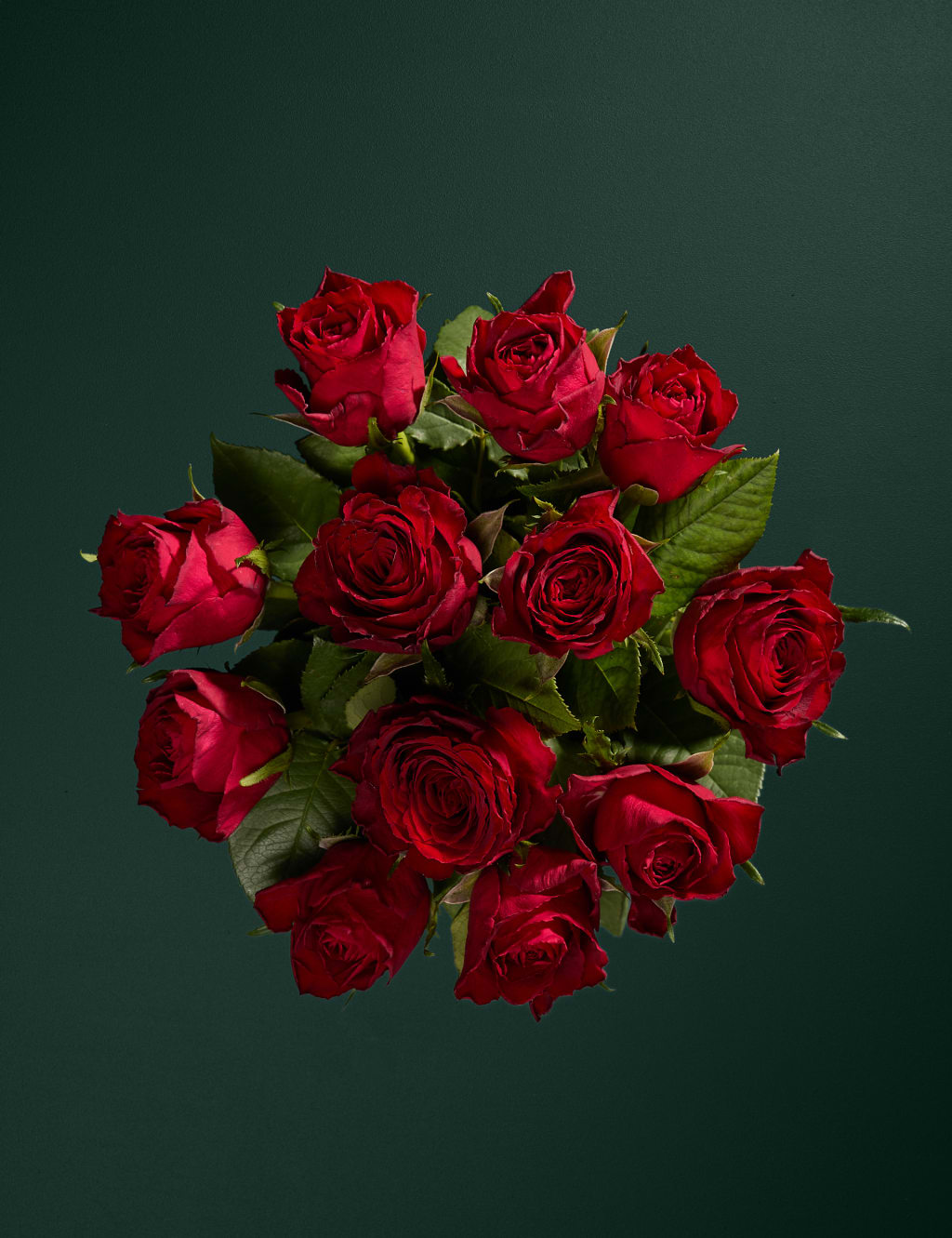 Dozen Red Roses Bouquet with Prosecco & Chocolates 2 of 7