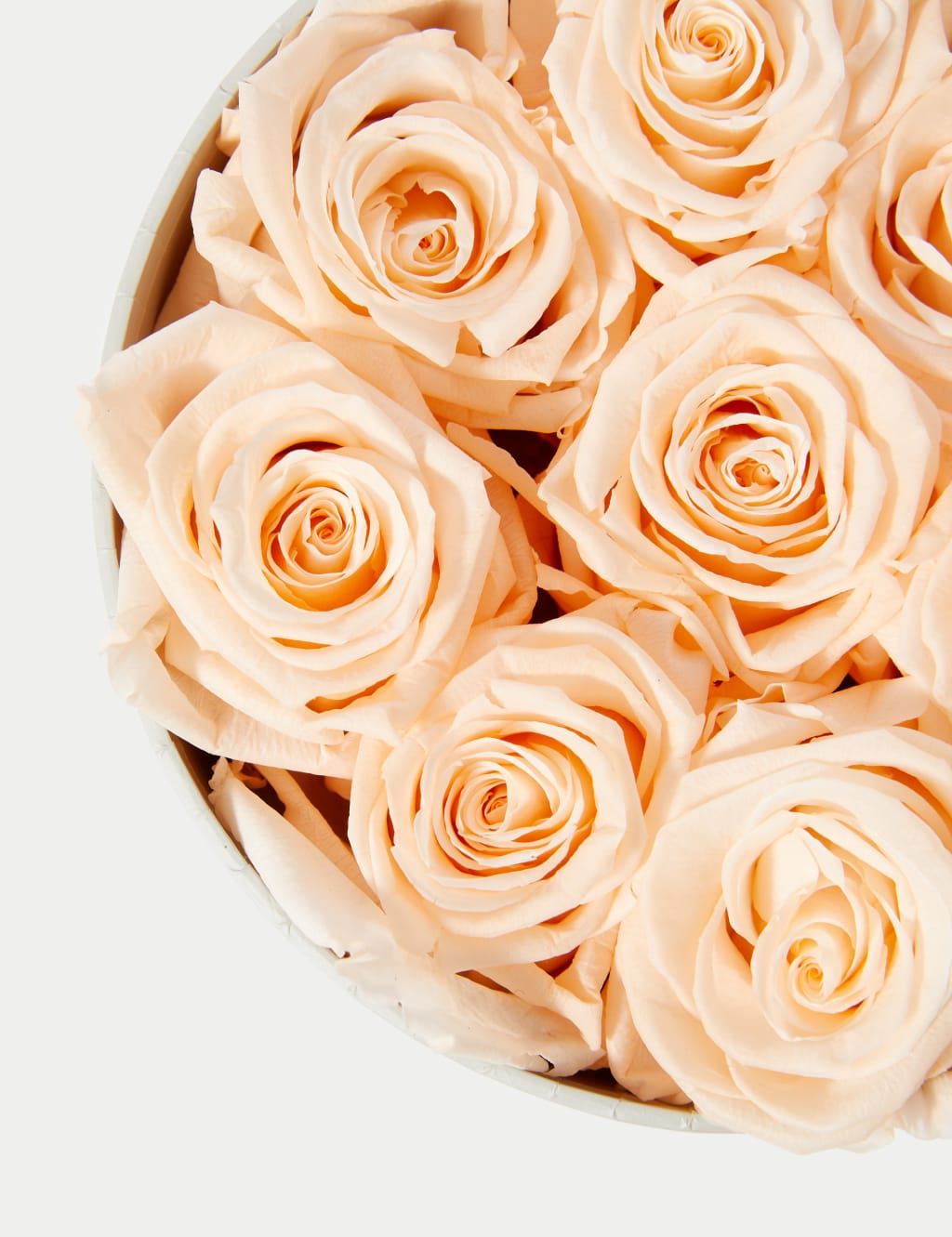Mother's Day Hat Box With Preserved Rose & Truffles 4 of 5