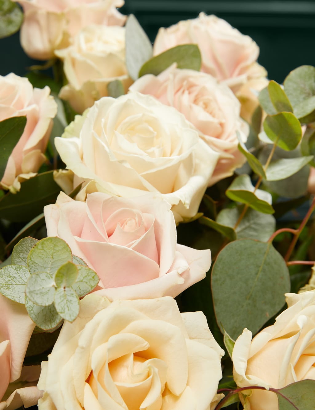 Luxury Rose Bouquet with Champagne, Truffles, Chocolates & Florentines 4 of 10