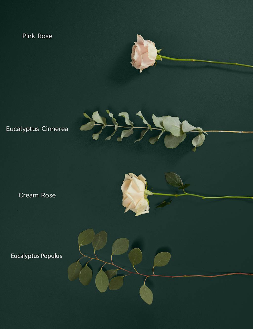 Luxury Rose Bouquet with Champagne, Truffles, Chocolates & Florentines 7 of 10
