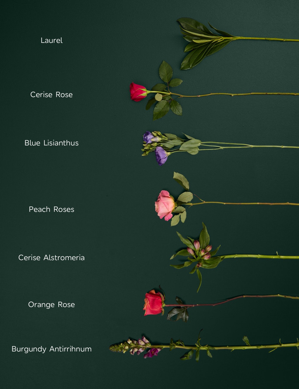 Roses, Lisianthus & Antirrhinum Bright Bouquet with Swiss Chocolates 6 of 6