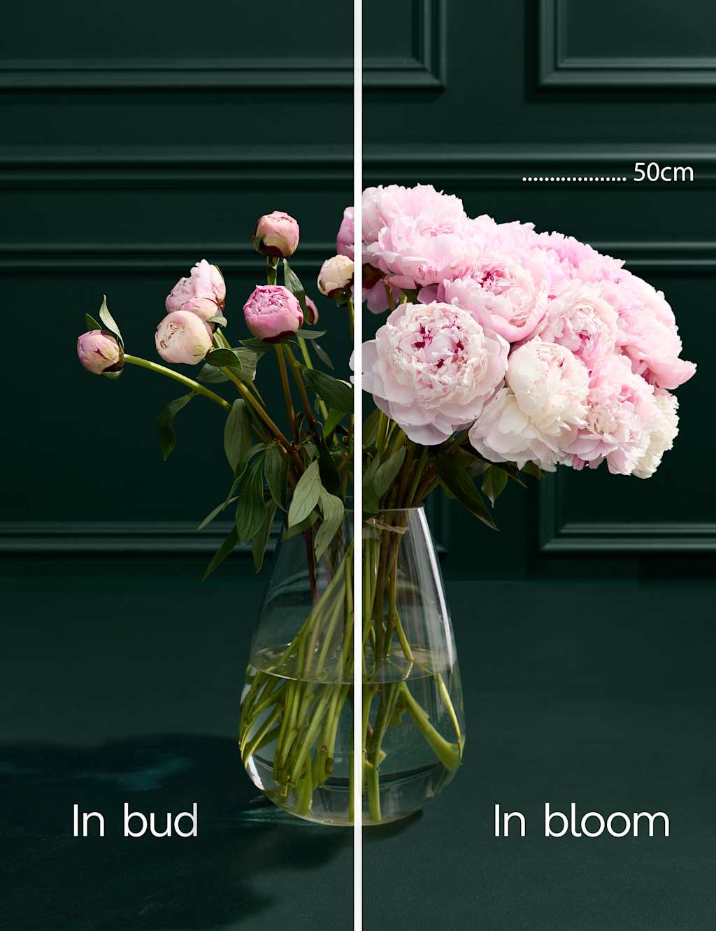 Bountiful Peony Bouquet 4 of 6