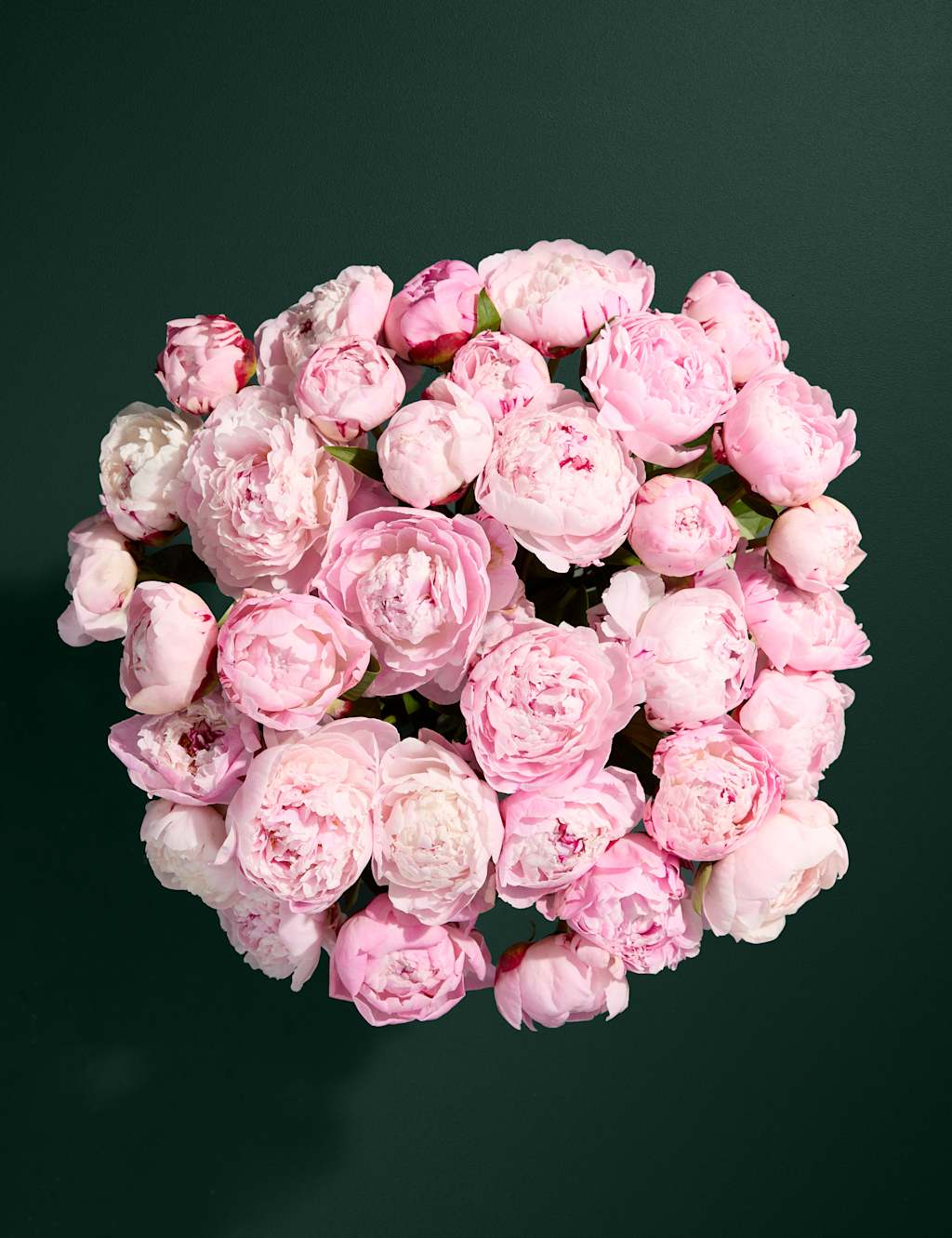 Bountiful Peony Bouquet 2 of 6