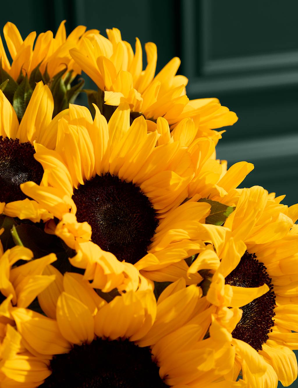 Sunflower Abundance Bouquet with Bellante Prosecco 3 of 6