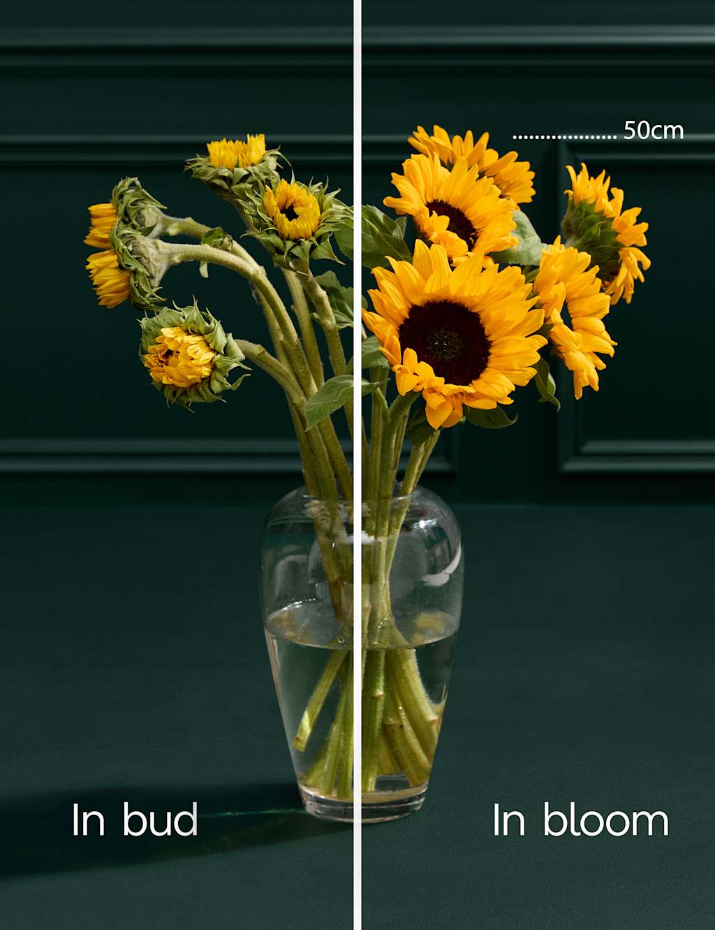 Sunflower Abundance Bouquet with Bellante Prosecco 6 of 6