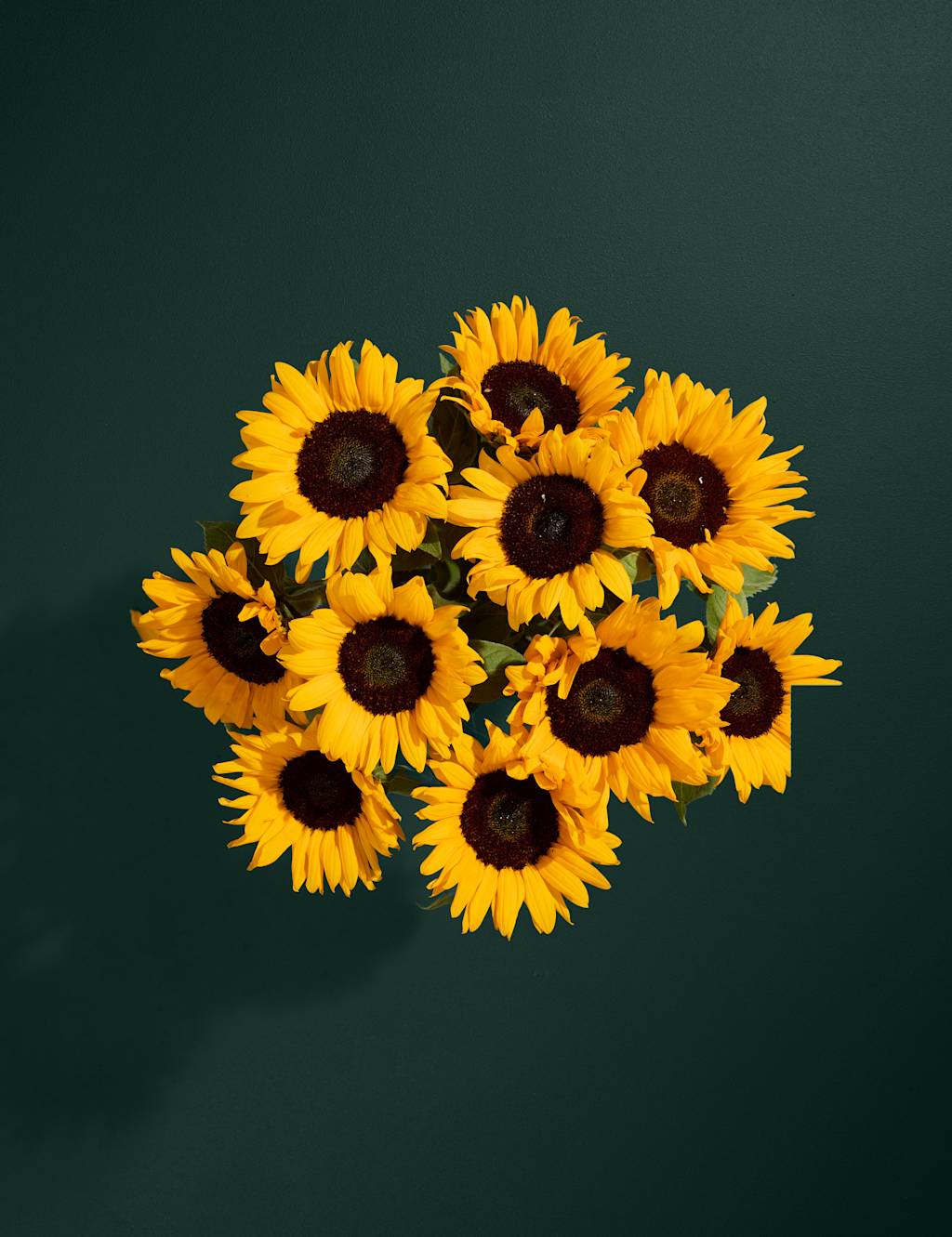 Sunflower Abundance Bouquet with Bellante Prosecco 2 of 6