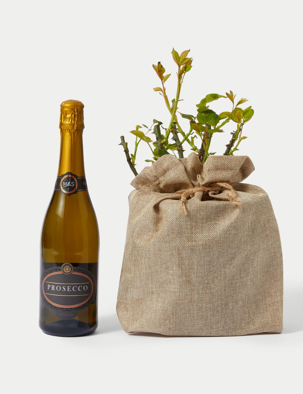 Celebration Rose & Prosecco Bundle 2 of 5