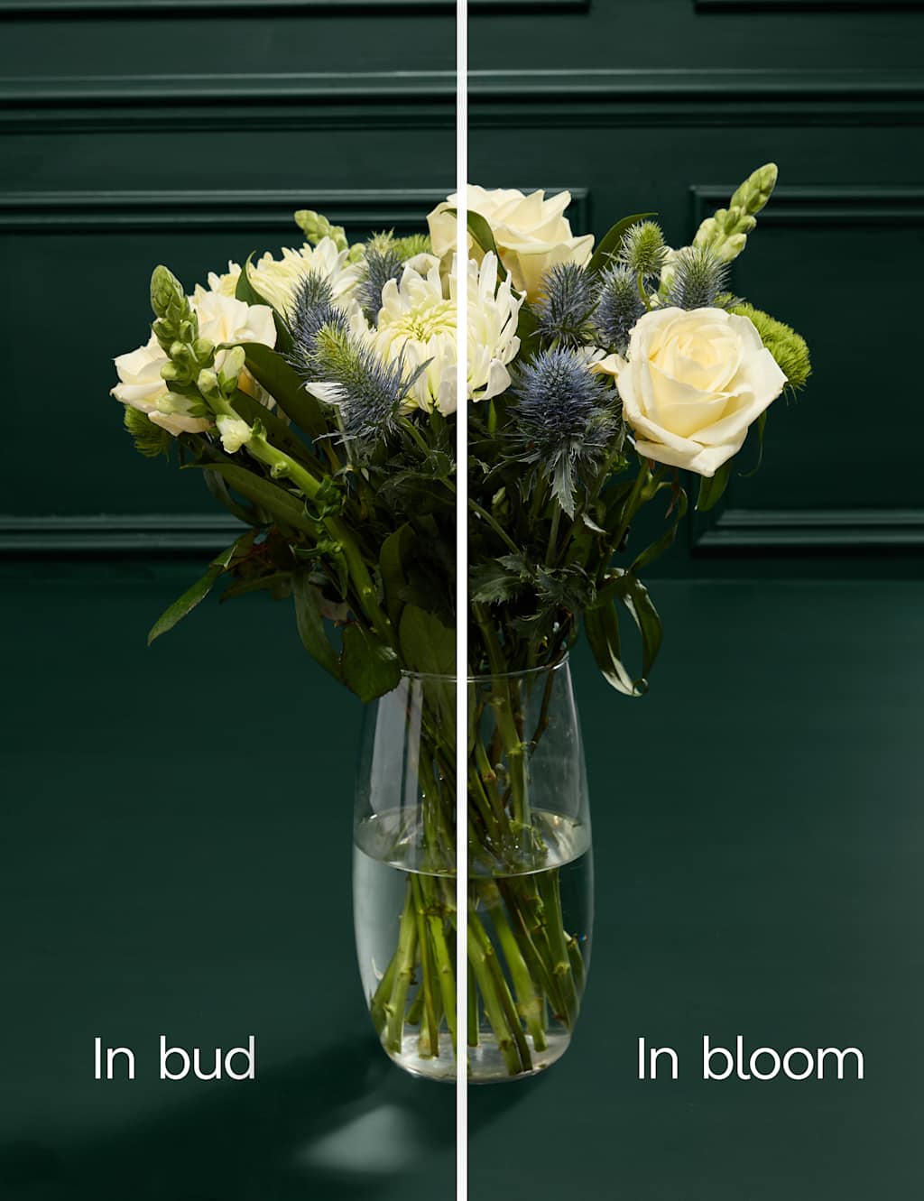 Rose & Thistle Bouquet with Belgian Chocolates 6 of 8